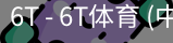 6T体育